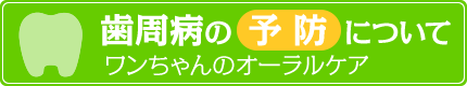 歯周病の予防について