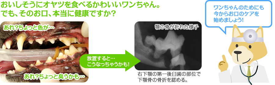 そのお口、健康ですか?