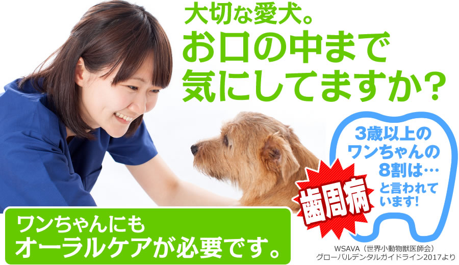 大切な愛犬。お口の中まで気にしてますか?